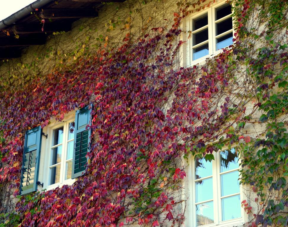 Apartment Im Garten 9 Gargazon Buitenkant foto